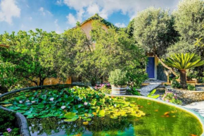 Olive tree Cottages